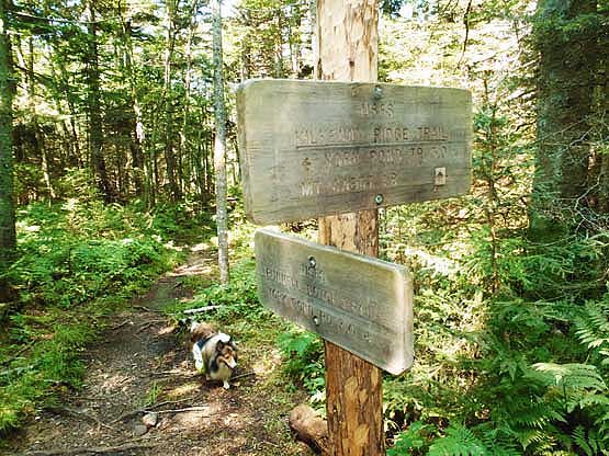 mount cabot nh trail sign